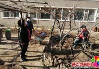 黨員園藝師 清理花壇、美化環(huán)境”